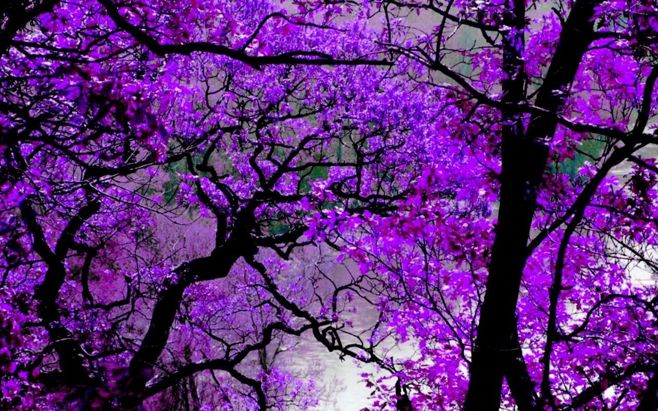 Violet #Colony_White_Tower Apartman Szaloniki Kültér fotó